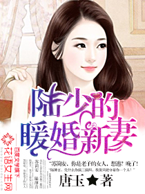 小说陆少的暖婚新妻