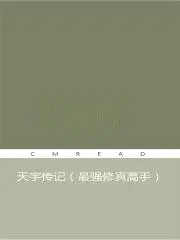 天宇传记 全文免费txt