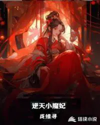 逆天小魔妃国师大人