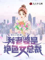 我的老婆是总裁秦城苏婉