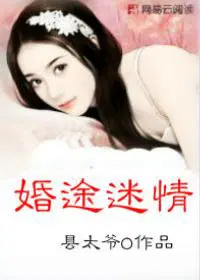 婚途迷离 小说