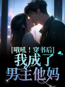 穿书后我成了男主孩子他妈